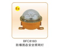 固定式防爆类_05